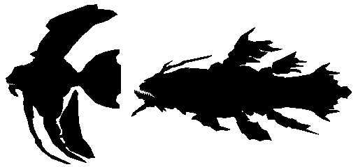 ���o���̂��`����`�{�X�L�����ǁ`�������`�i�������I�I�j